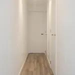 아파트 Hoogstraat Aa Modern 3p *